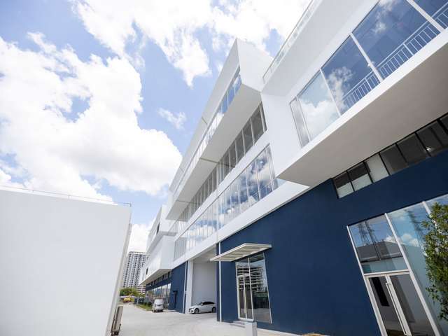 江苏好用的压缩毛巾源头